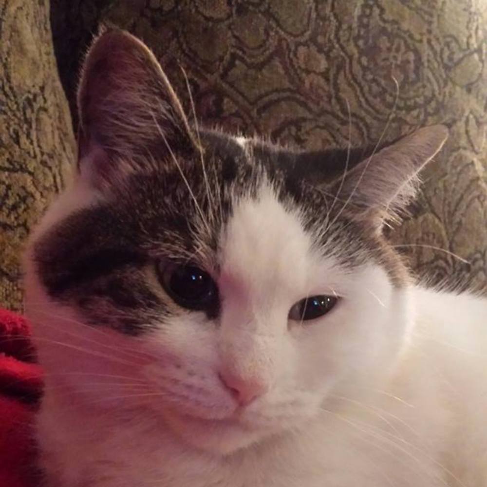 Meet your Posher, Debra